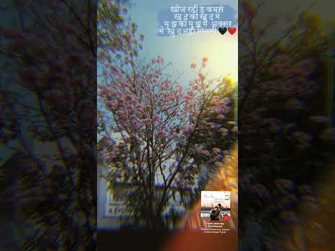 schi yarrr#vanshu🙂