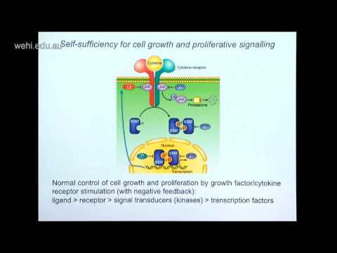Strasser (2015): Overview to cancer research with historical and future perspectives
