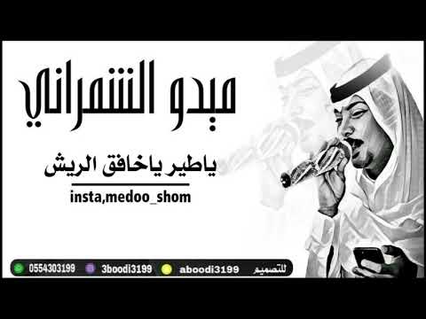 ميدو الشمراني - ياطير ياخافق الريش