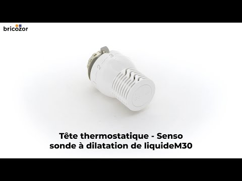 Tête thermostatique - sonde à dilatation de liquide - Senso COMAP