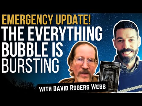 We Could Be Entering 1929 Style Collapse | Emergency Broadcast with David Rogers Webb