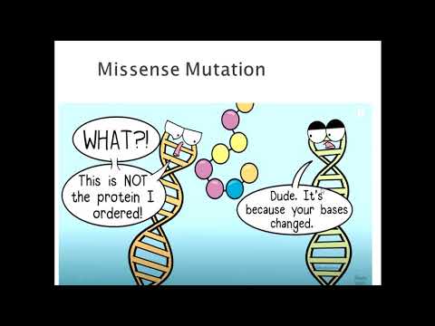 Lectre of Dr. Sadia Alam on  Topic MUTATIONS&MODE OF INHERITENCE
