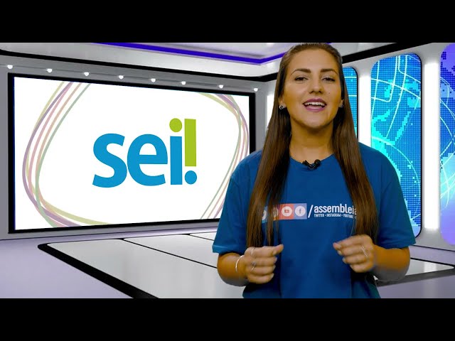 Como distribuir processos dentro de um setor?