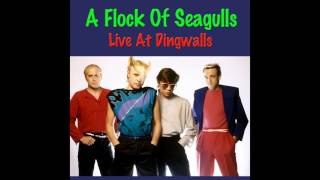 A Flock Of Seagulls Live At Dingwalls 1982 (Audio)