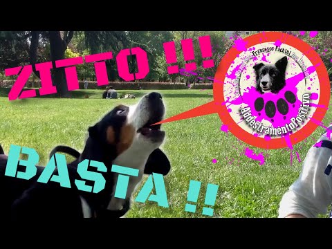 Affronti il pacco da un linchzha Maschera di pomodoro sulla persona