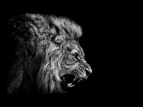 Radziu RSG - Specmajster