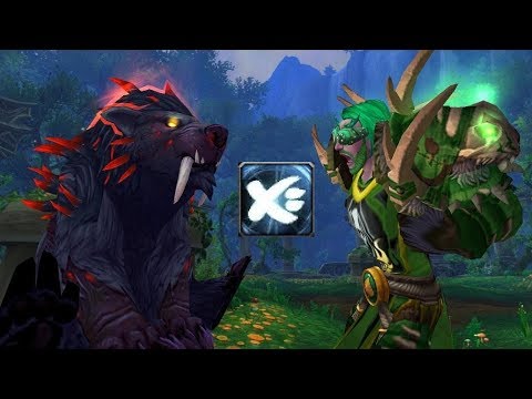 Druids HATE Touch of Karma! | Legion 7.3.5 Windwalker Monk PVP