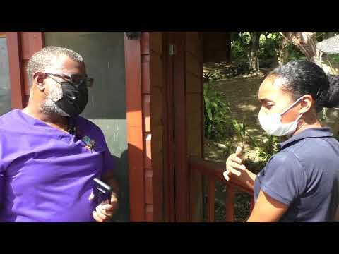 Hive Keep in Caribbean Video