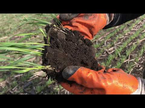 Влагосберегающая технология от НВП 5 Елемент