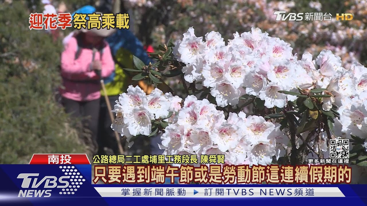 合歡山花季開跑! 憂塞車假日實施「高乘載」