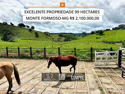 EXCELENTE PROPRIEDADE 99 HECTARES MONTE FORMOSO-MG R$ 2.100.000,00 #luxo #gado #pecuarista #brasil 