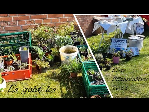 Es geht los.........Die erste Pflanzenbörse 2022 🌺🌷🌸