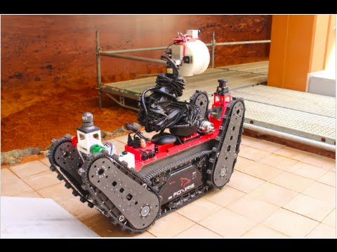 Foxiris getting ready for the second Argos Challenge competition