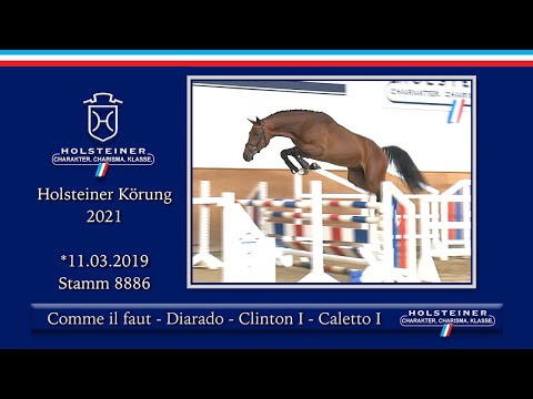 Holsteiner Körlot 2021 | Nr. 26 v. Comme il faut - Diarado - Clinton I - Caletto I