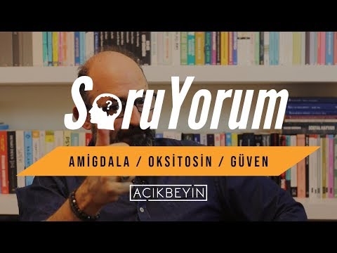 SoruYorum - Amigdala / Oksitosin / Güven