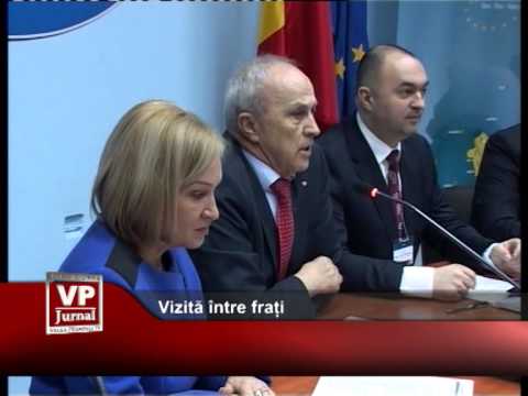 Vizită între frați