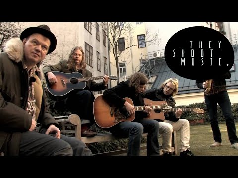 Edwyn Collins - What Presence?! // THEY SHOOT MUSIC