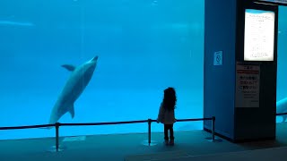 PASSEIO NO AQUARIO DE NAGOYA