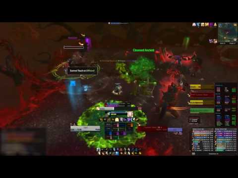 Nethrim - Mal'ganis: Heroic Cenarius