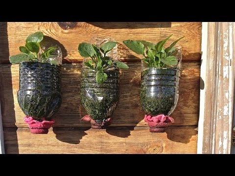 Aprende a hacer macetas con botellas de plástico paso a paso