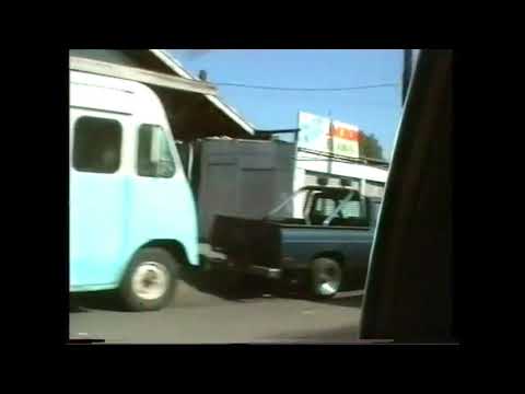 Beck - Que Onda Guero (Subtitulada Esp - Lyrics)