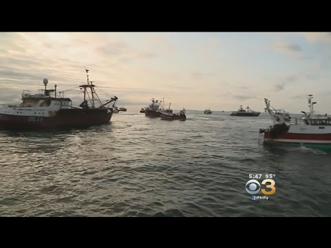 Scallop Skirmish: Dramatic Video Shows Ships Clashing Over Territory