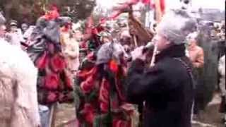 preview picture of video 'Caiuti ursi uratori si capra din Zanesti 31.12.2013'