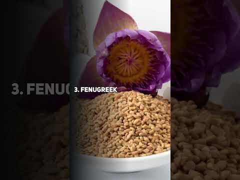 Top 5 Herbs To Remedy PCO..