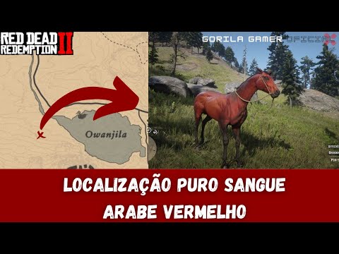 CAVALO  PURO SANGUE ARABE VERMELHO   DE GRAÇA  2022 RED DEAD REDEMPTION 2