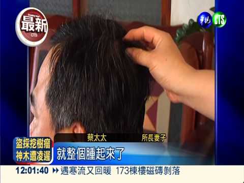 派出所長抓小偷 摔落深溝賊落跑