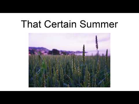 That Certain Summer