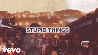 Stupid Things Music Video