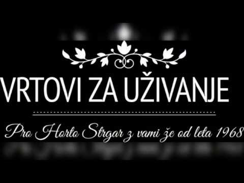 Video predstavitev