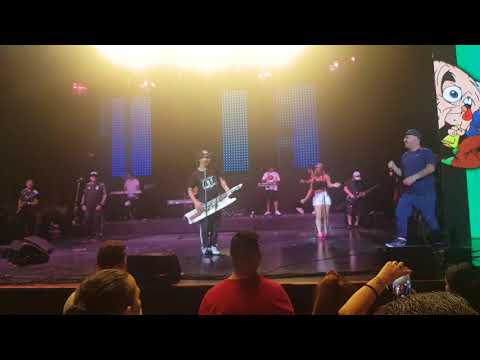 Damas Gratis y El Pepo - Gran Rex 7D Previa