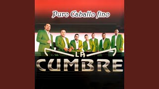 Royal Proclamación