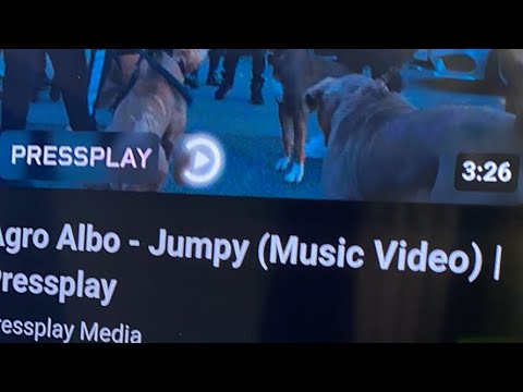 Agro Albo - Jumpy (Music Video) | Pressplay Reaction