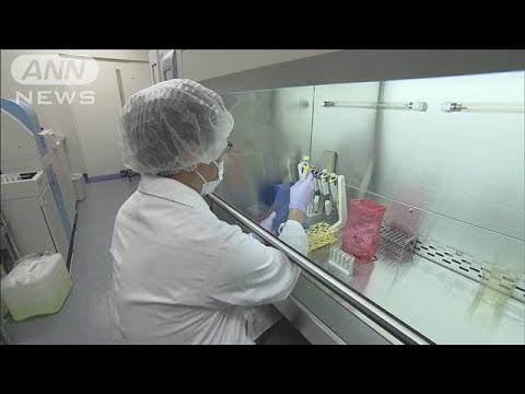 コロナ免疫:研究者らが危険な誤謬を反論