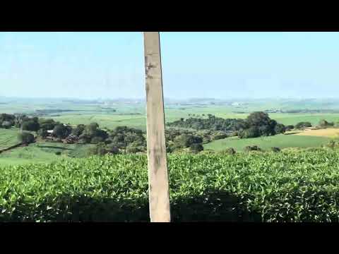 Fazenda Promissão entre Itambaracá e Andirá Pr 