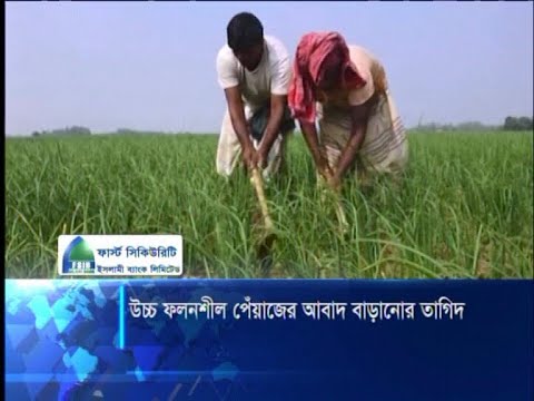 উচ্চা ফলনশীল পেঁয়াজের আবাদ বাড়ানোর তাগিদ