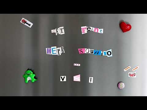 Der Feine Herr Soundso - VSV (offizielles Video)