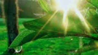 Download lagu RAIHAN- I'tiraf mp3
