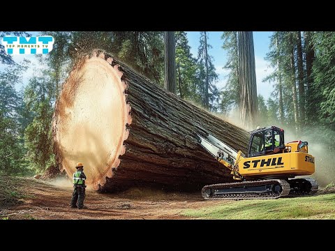 Extreme Dangerous Fastest Big Chainsaw Cutting Tree Machines | Monster Stump Removal Excavato #04