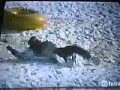 America S Funniest Home Videos Winter Edition