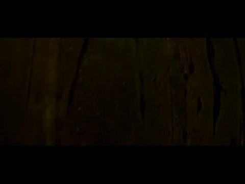 Latvijas Rapper Tag #666 — Ankh AMUN