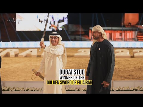 DUBAI STUD ACHIEVEMENTS - 2022 Fujairah International Arabian Horse Championship