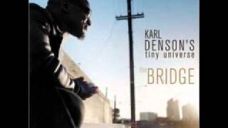 "Elephants" by Karl Denson's Tiny Universe