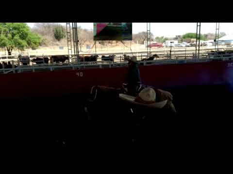 piales torneo don lupe vive 2018 juan p franco juan soltero jose ortiz