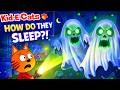 How Do Kid E Cats Go To Sleep Sweet Bedtime Routine For Kids