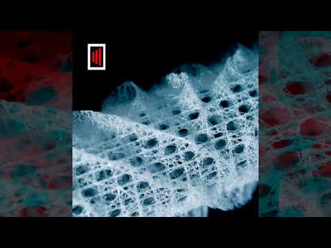 One and not done | IDM | Live 11