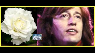 Robin Gibb - Bodding  - ( Heart Like Mine )